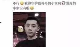 网红爆料张继科事件视频,网红爆料引发热议