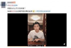 娱乐圈揭秘爆料张云龙,娱乐圈背后的真实故事大揭秘
