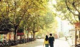 买我 在线观看,跟随“买我”在线观看，探索未知世界