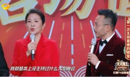 倪萍爆料主持人视频在线观看,视频曝光引发热议