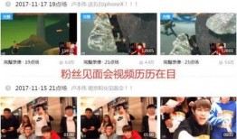 直播爆料冰岛视频大全最新,视频大全带你领略神秘北欧风光