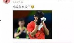 网红爆料张继科事件视频,网红爆料引发热议