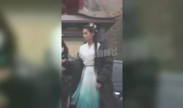 阿飞爆料张嘉倪视频,事件引发热议