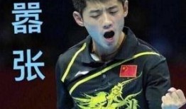 网红爆料张继科事件视频,网红爆料引发热议