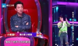 中国好声音网红爆料视频,揭秘节目幕后真相与精彩瞬间