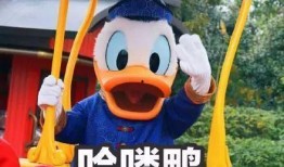 娱乐带你吃瓜,带你吃瓜，一网打尽明星幕后故事