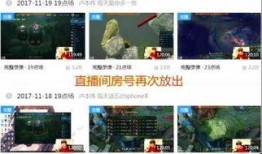 直播爆料冰岛视频大全最新,视频大全带你领略神秘北欧风光