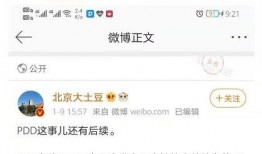 拼多多最新爆料链接,揭秘神秘新功能及重大战略调整！