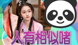 娱乐718吃瓜网官网,揭秘娱乐圈最新“瓜田”动态，带你领略明星幕后故事
