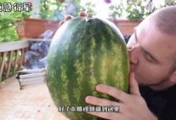 海外免费吃瓜,一场跨国美食狂欢之旅