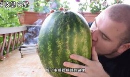 海外免费吃瓜,一场跨国美食狂欢之旅