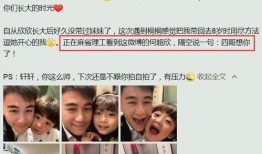 何家四房爆料视频大全集,揭秘家族风云与情感纠葛