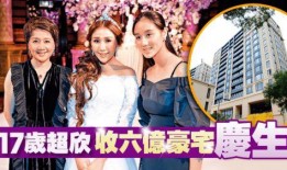 何家四房爆料视频大全集,揭秘家族风云与情感纠葛