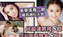 何家四房爆料视频大全集,揭秘家族风云与情感纠葛