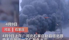 黑山事件爆料视频大全集,视频大全集深度解析