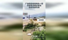 英德洪水爆料视频播放,惊心动魄的救援时刻
