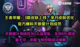 皮肤优化爆料视频,视频爆料带你领略全新视觉盛宴