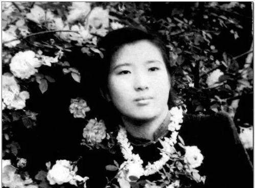 娱乐圈摆烂吃瓜郁可可,娱乐圈摆烂吃瓜，揭秘明星幕后生活