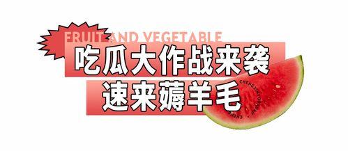 娱乐吃瓜酱名言大全集下载,笑料百出，智慧闪耀